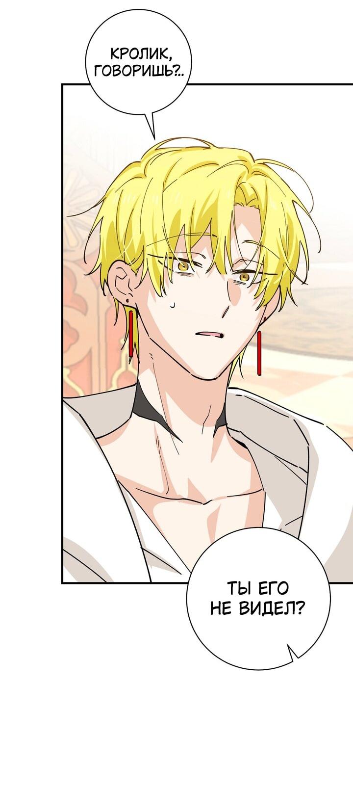 Манга Девушка, покорившая волшебника - Глава 27 Страница 17