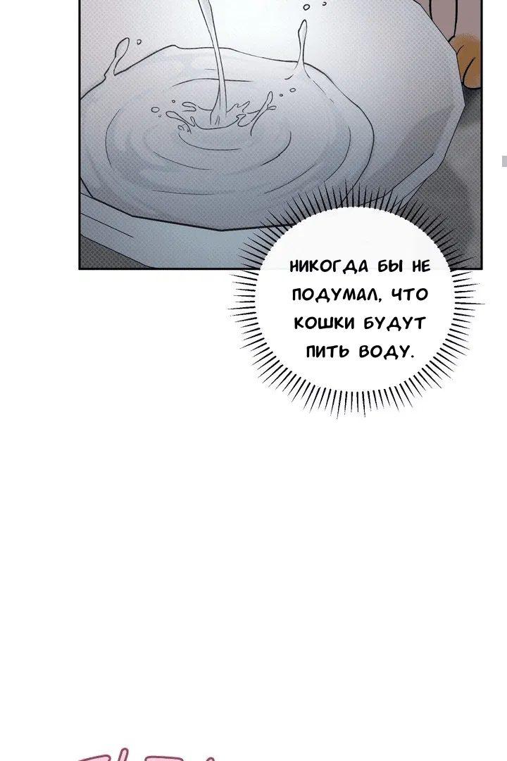 Манга Феромонный фетиш - Глава 20 Страница 10