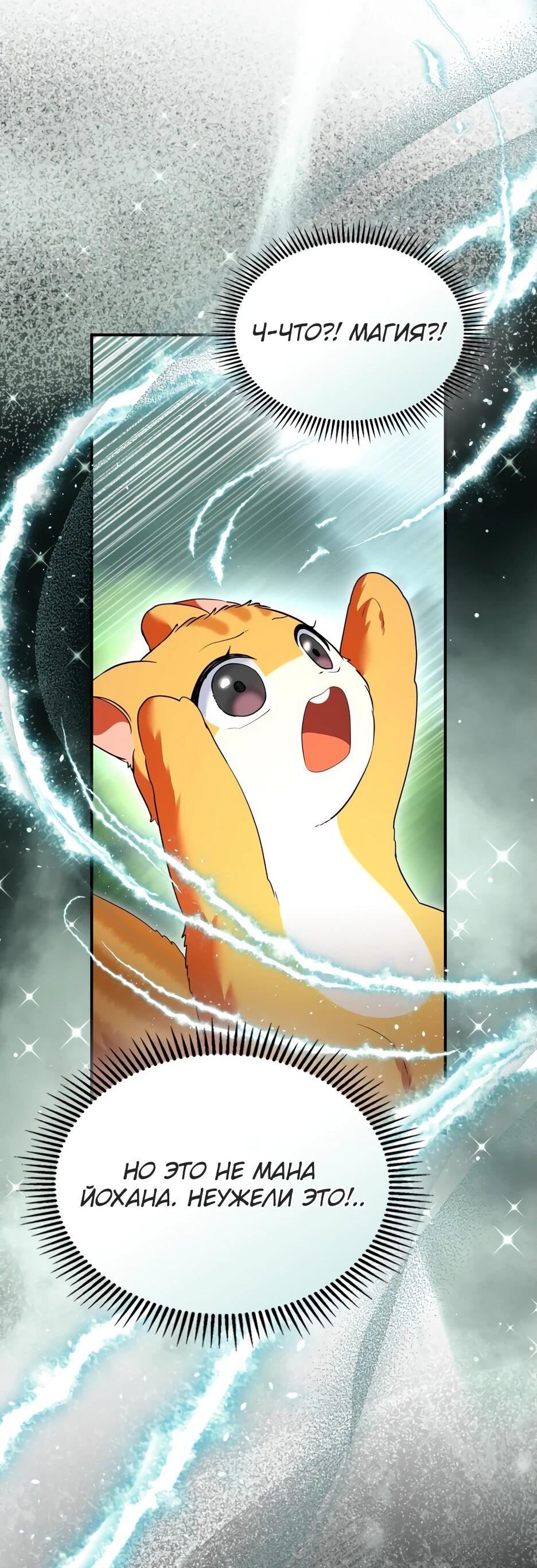 Манга Я стала бурундуком, что спасёт злодея! - Глава 41 Страница 33