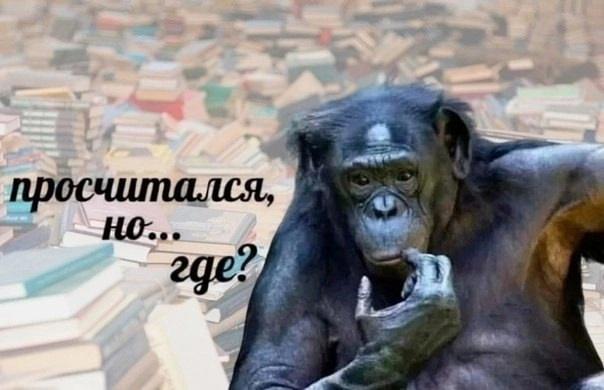 Манга Эльфийка и Мужик - Глава 23 Страница 2