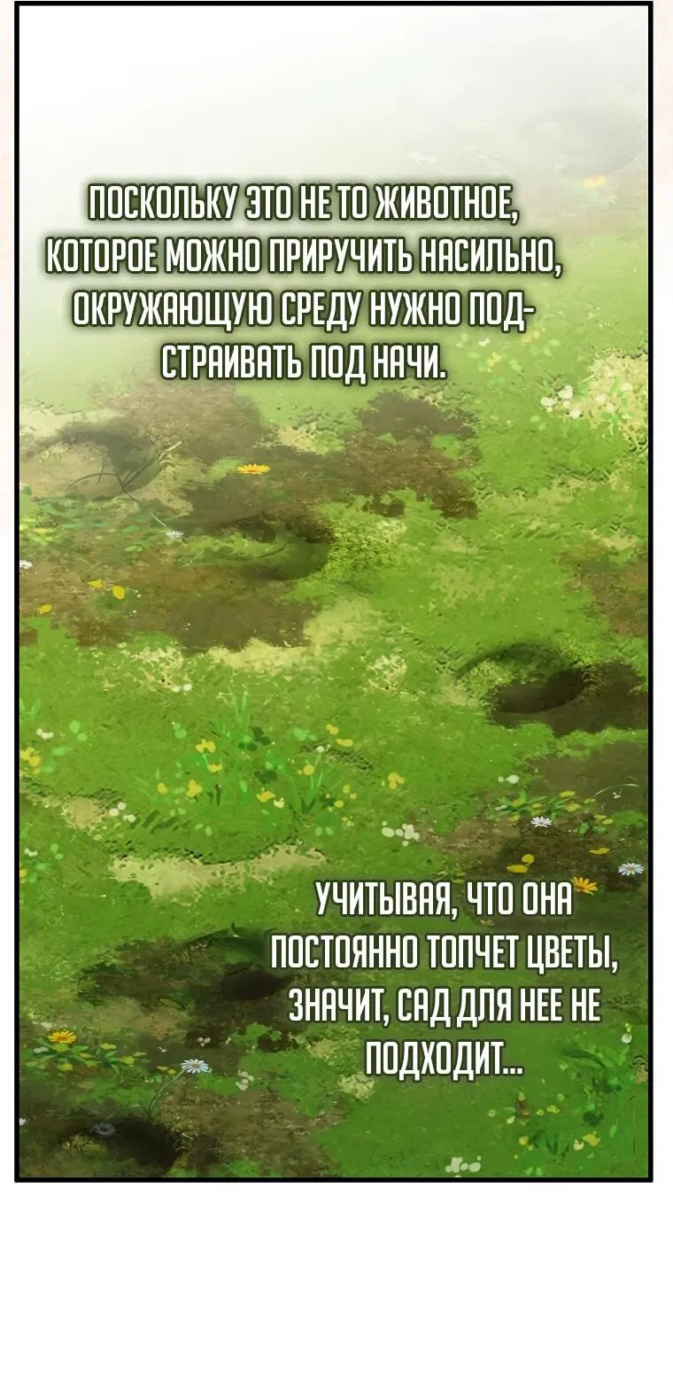 Манга Императорская горничная - Глава 5 Страница 33