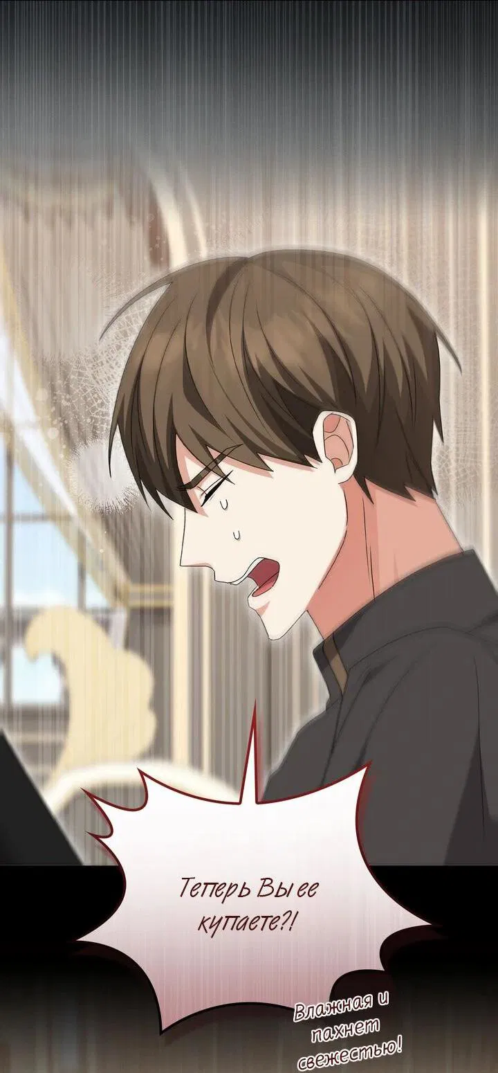 Манга Я переместился в мягкую игрушку безумного актива - Глава 8 Страница 19