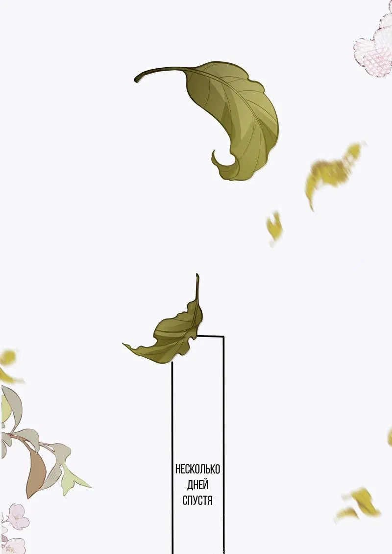 Манга Переплетённые ветви - Глава 50 Страница 25
