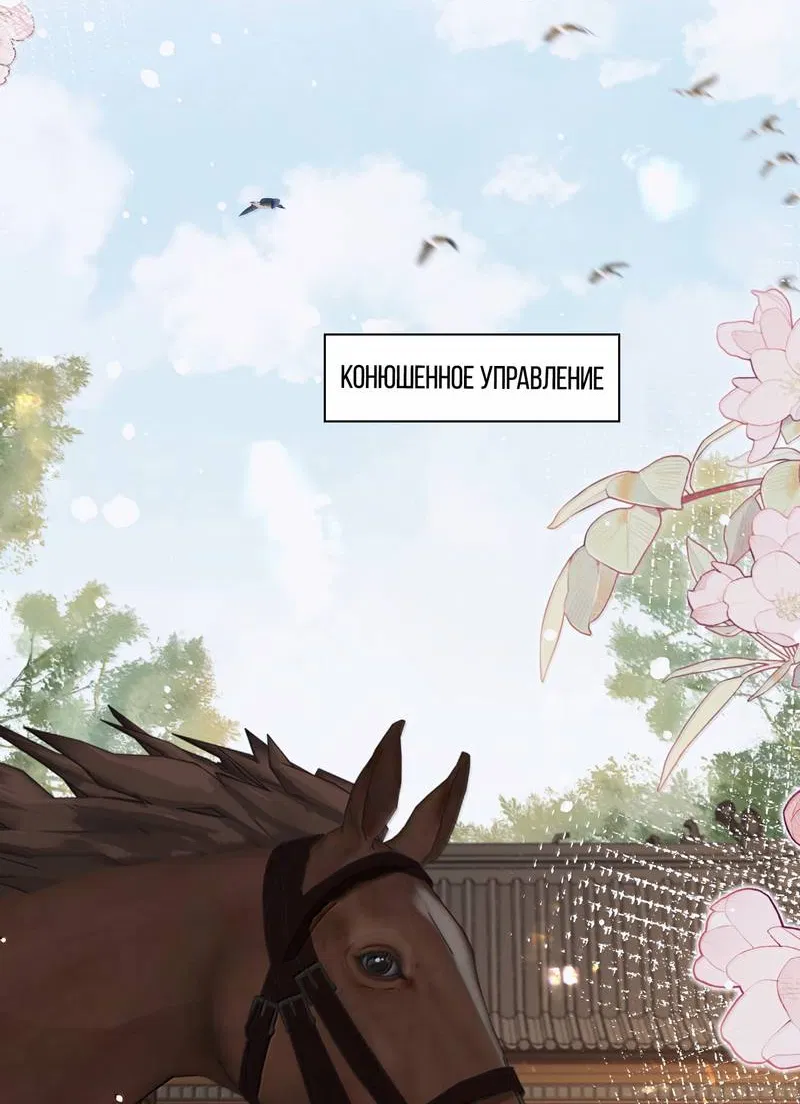 Манга Переплетённые ветви - Глава 50 Страница 37