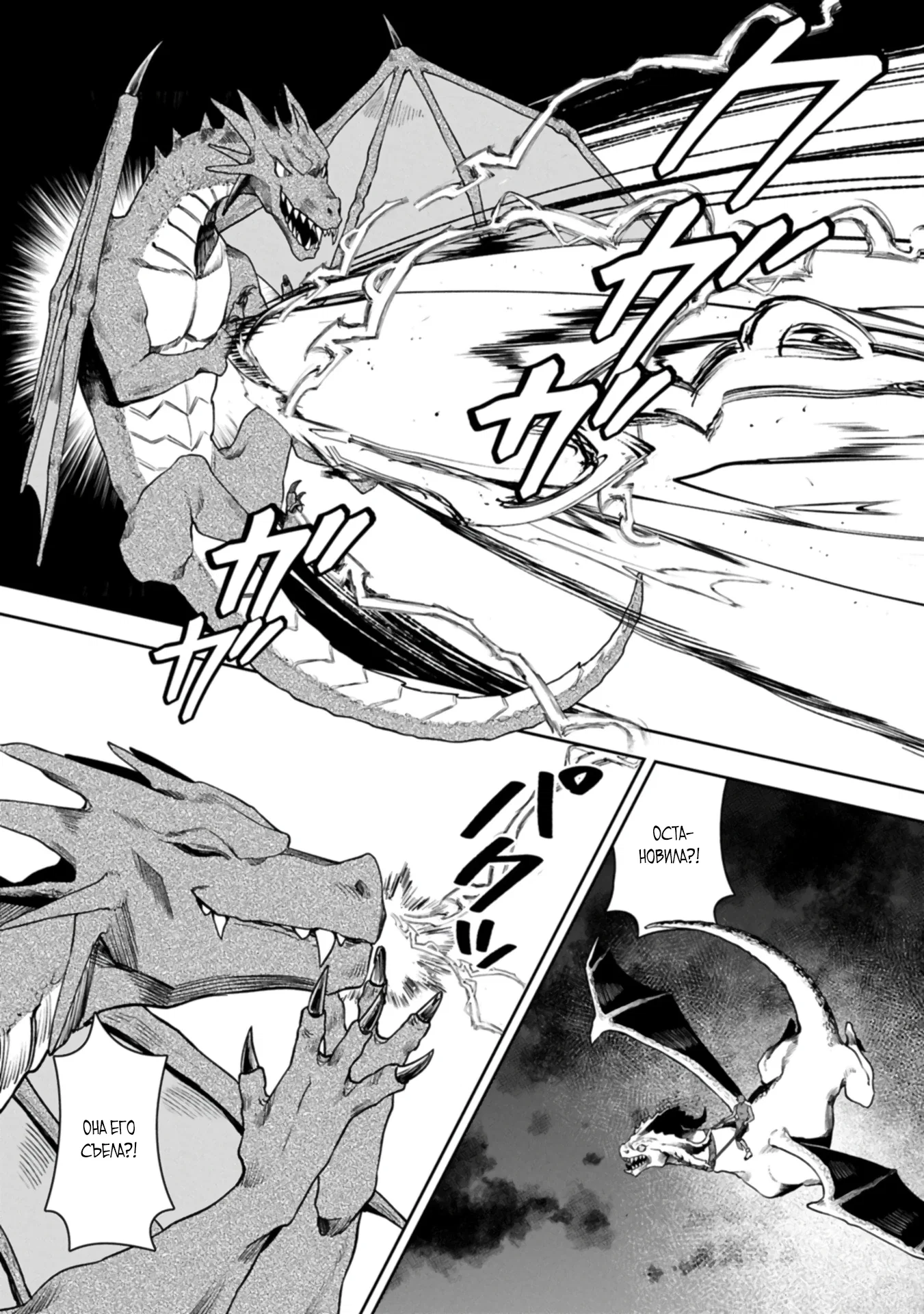 Манга Когда я возвел самый сильный барьер в стране, она стала слишком мирной, и меня изгнали - Глава 17 Страница 10