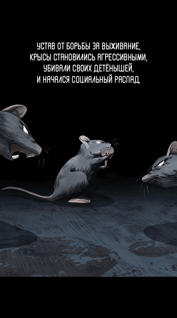 Манга О! Тангун - Глава 33 Страница 5