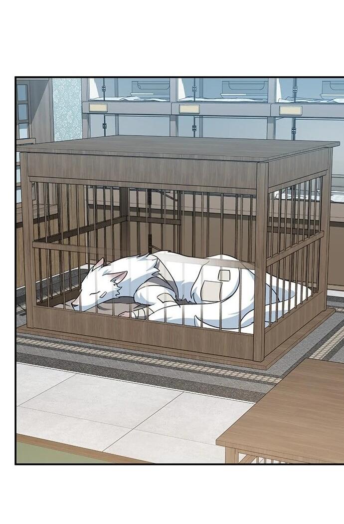 Манга Ким Оджин и странные животные - Глава 32 Страница 57