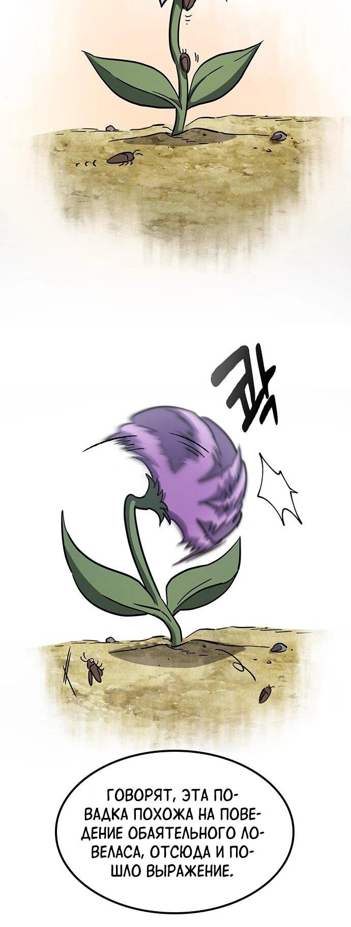 Манга Ким Оджин и странные животные - Глава 17 Страница 50