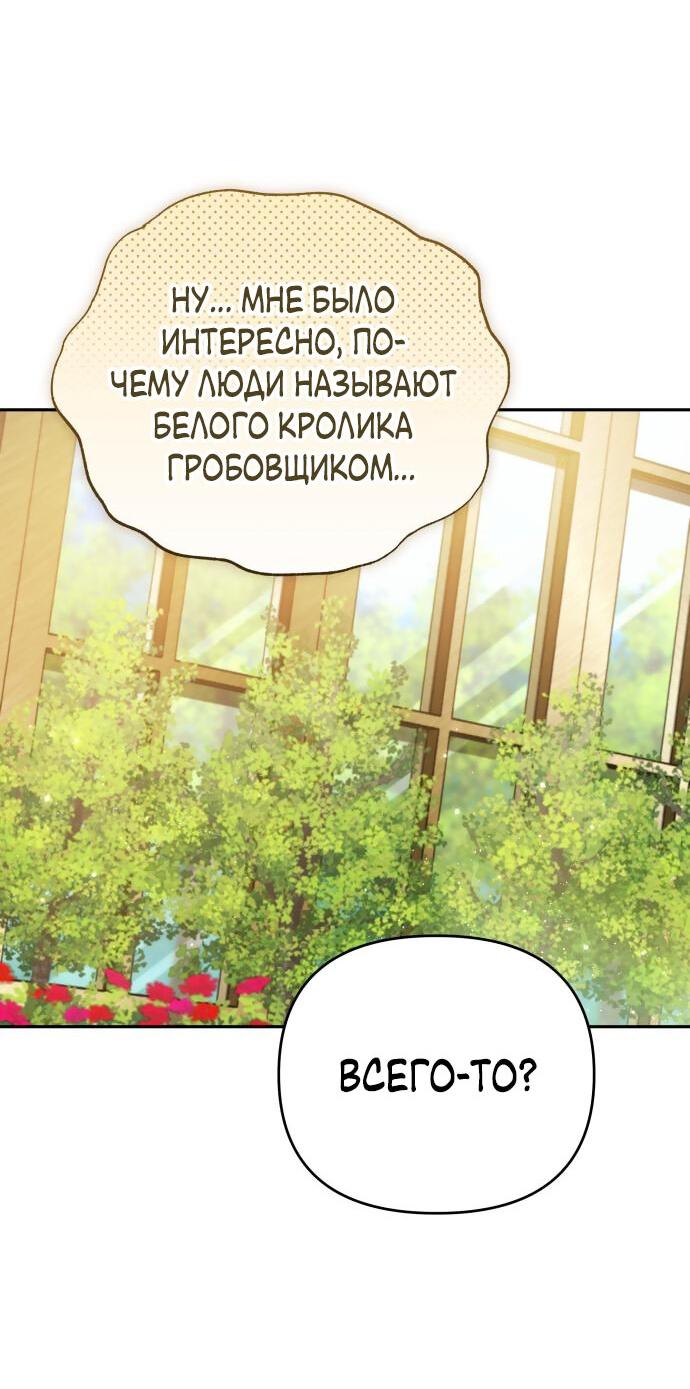 Манга Белый Кролик в Стране чудес - Глава 33 Страница 27