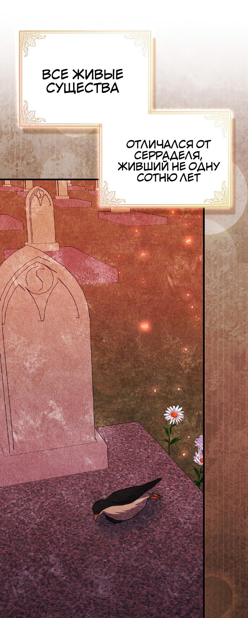 Манга Пингвин во власти безумной косатки - Глава 65 Страница 43