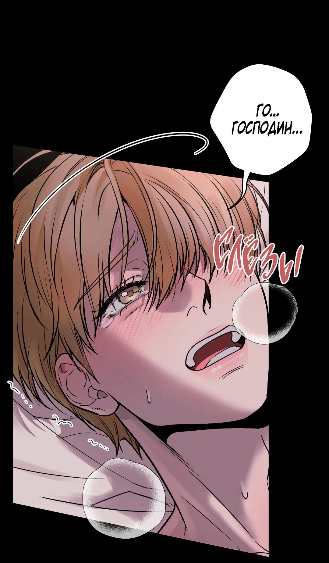 Манга Мой садистичный господин - Глава 32 Страница 12