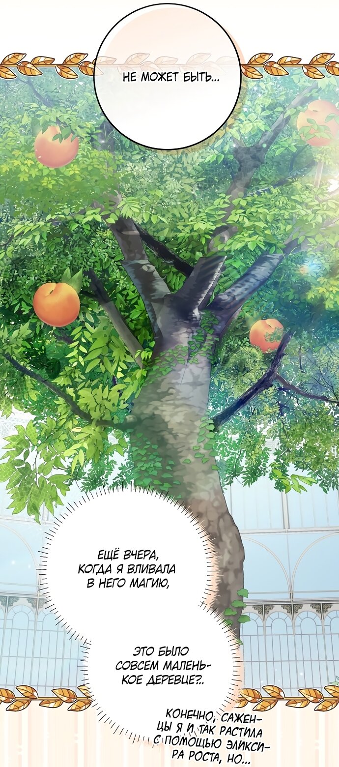 Манга Я готова к разводу - Глава 49 Страница 11