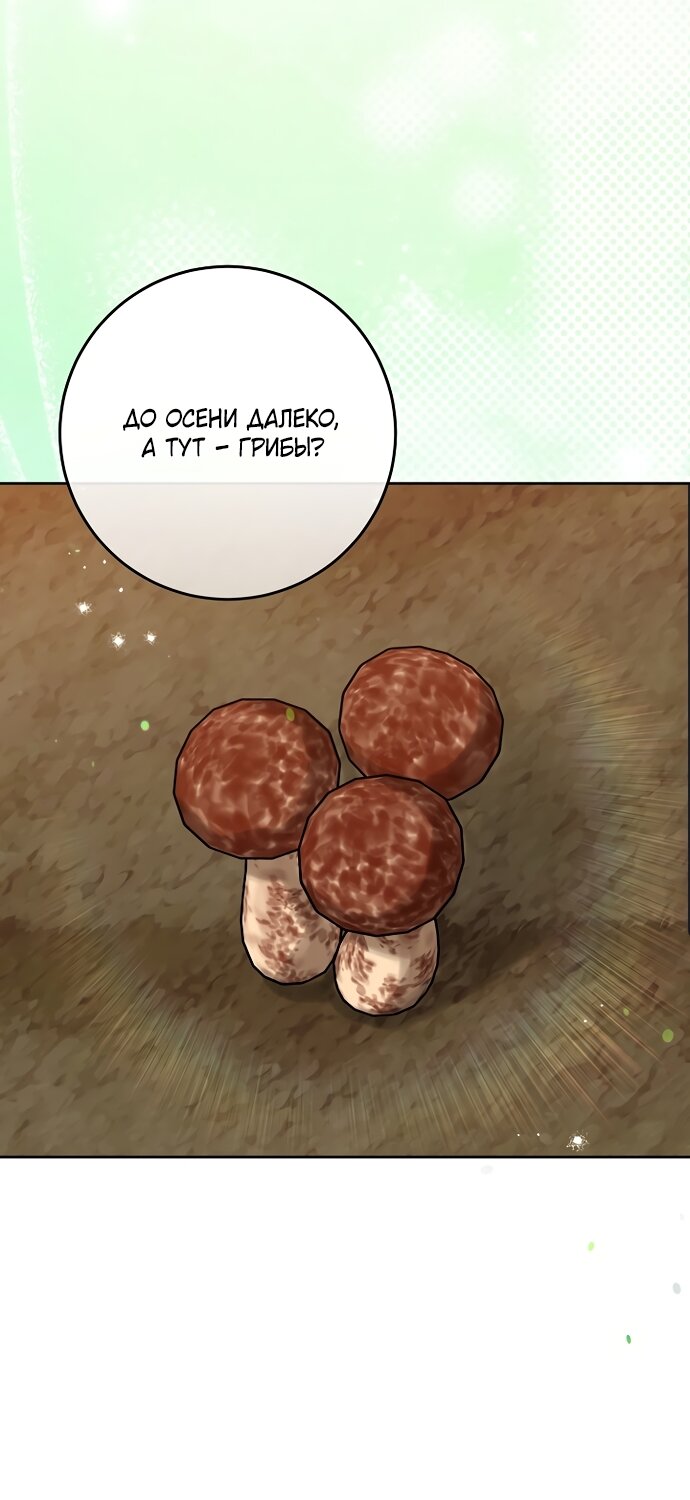 Манга Я готова к разводу - Глава 52 Страница 16