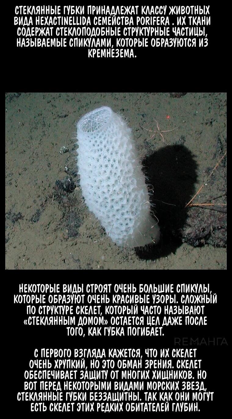 Манга Наракусо - Глава 16 Страница 72