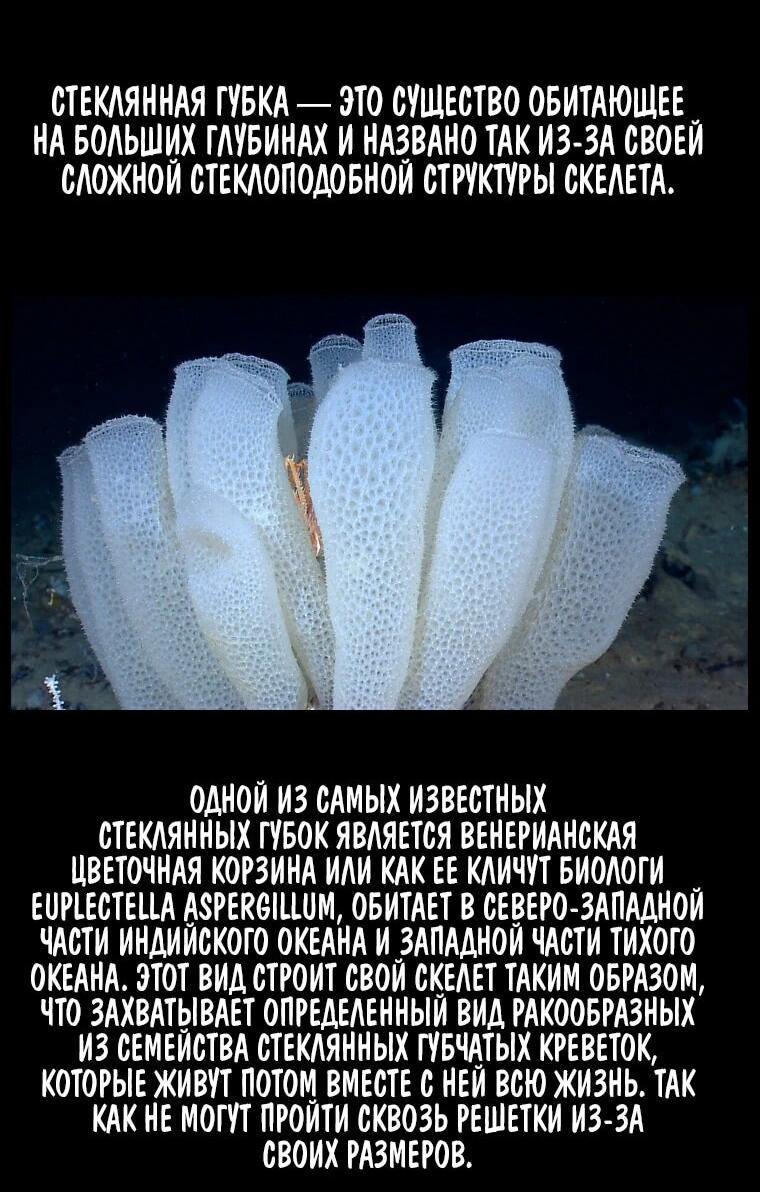 Манга Наракусо - Глава 16 Страница 71
