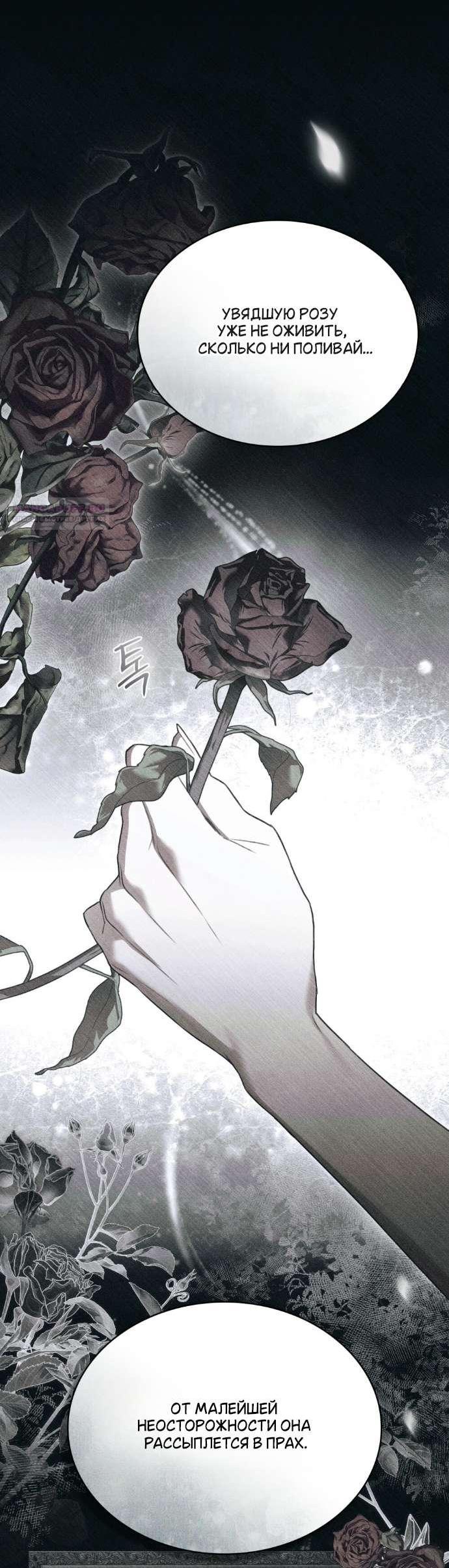 Манга Одалиска - Глава 63 Страница 25