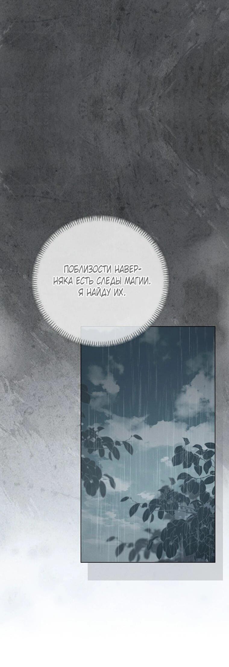 Манга Реинкарнация принцессы - Глава 56 Страница 45