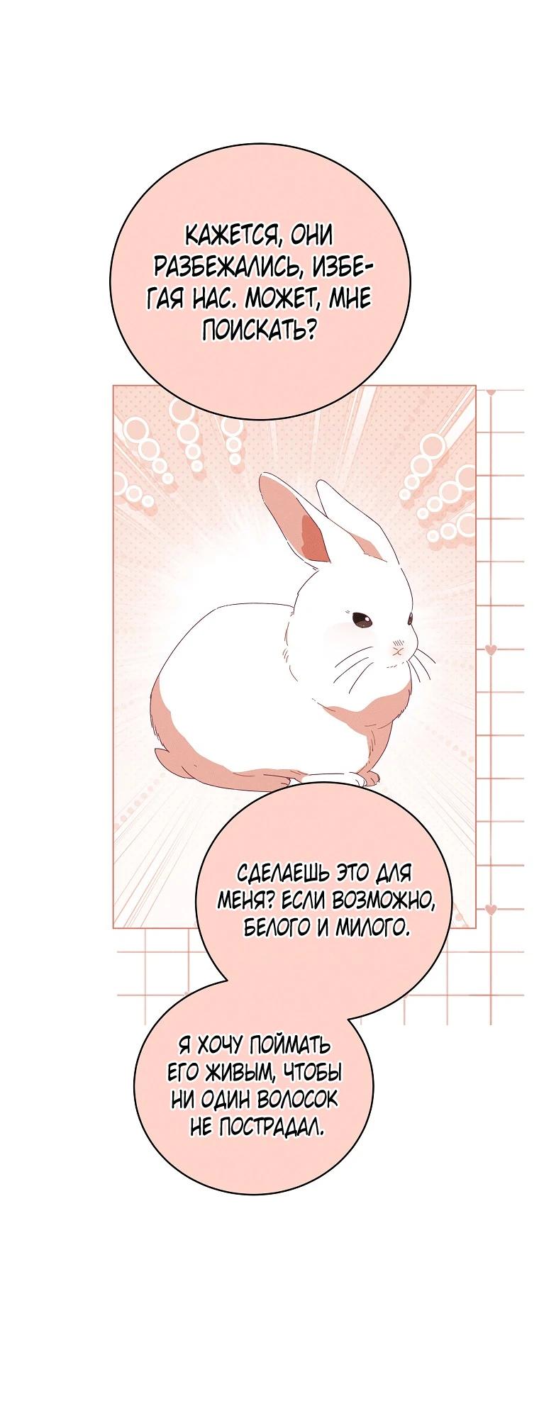 Манга Реинкарнация принцессы - Глава 65 Страница 16