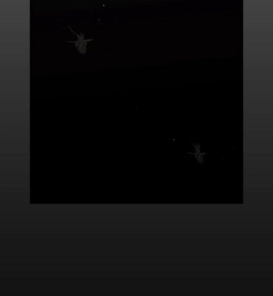 Манга Раб, ставший легендой арены! - Глава 40 Страница 67