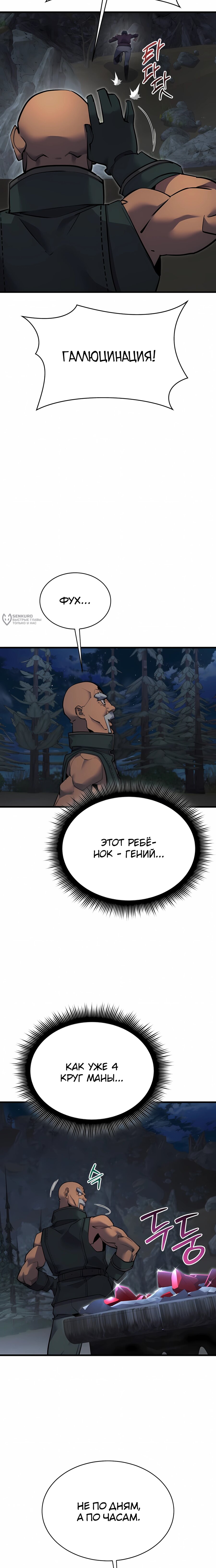 Манга Гениальный волшебник, использующий кулаки - Глава 52 Страница 15