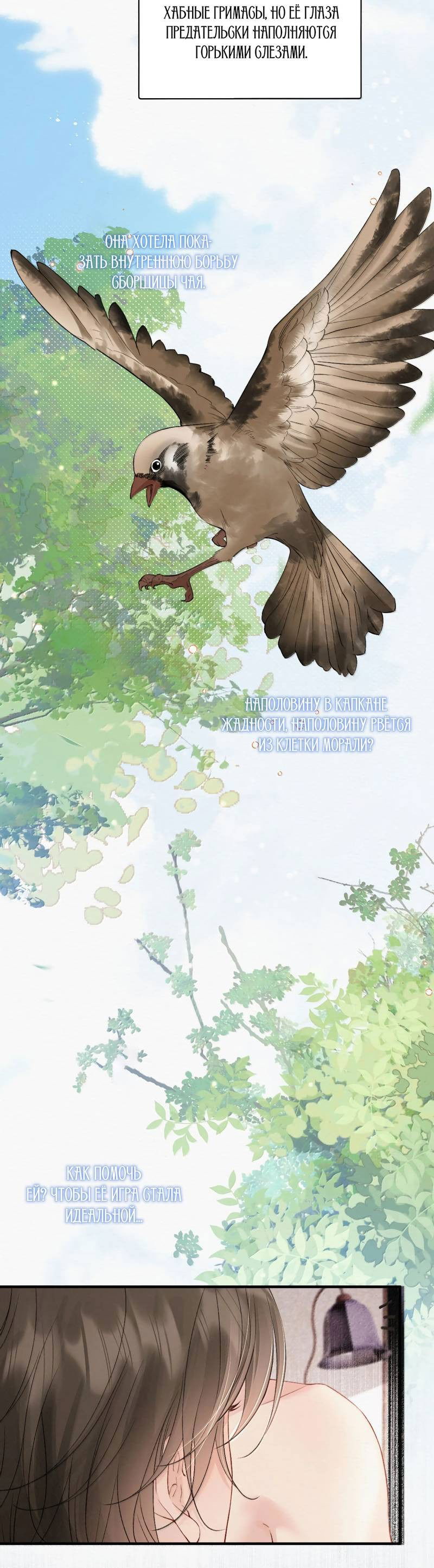 Манга Тайные фотографии - Глава 42 Страница 5