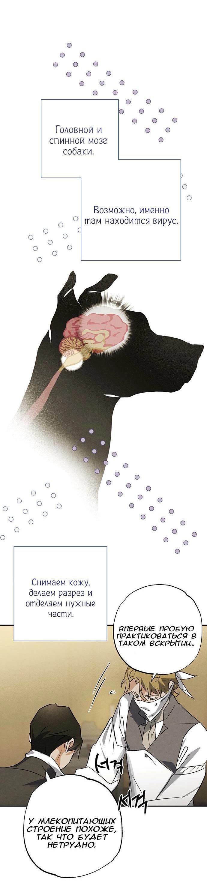 Манга Темноволосый британский доктор - Глава 38 Страница 39