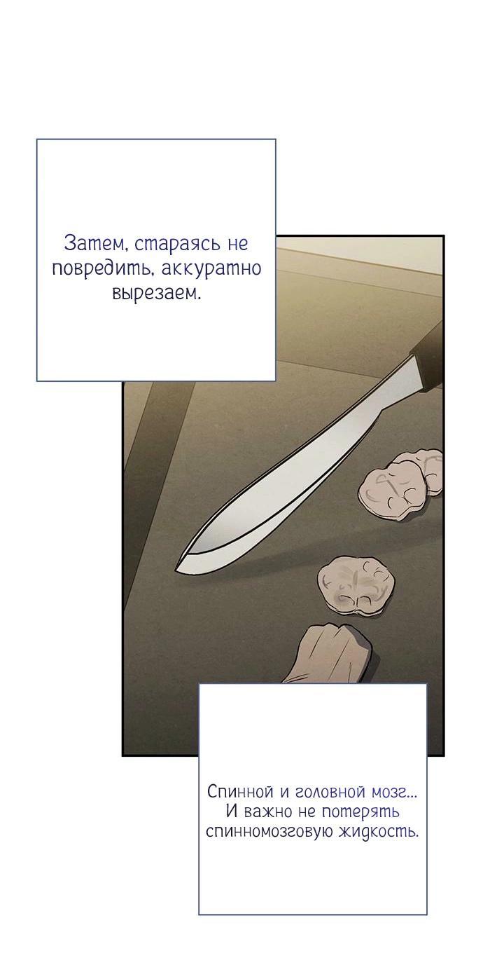 Манга Темноволосый британский доктор - Глава 38 Страница 40