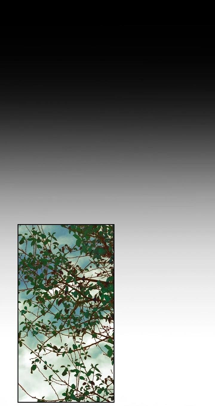 Манга Игла Императрицы - Глава 47 Страница 41