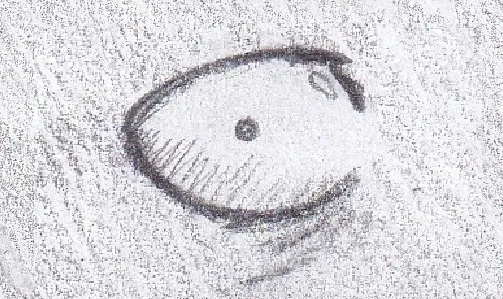 Манга Колизей Заключенных - Глава 79.5 Страница 46