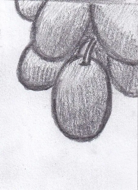 Манга Колизей Заключенных - Глава 79 Страница 1