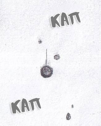 Манга Колизей Заключенных - Глава 81.5 Страница 80