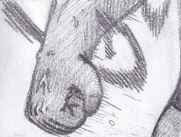 Манга Колизей Заключенных - Глава 81.5 Страница 56