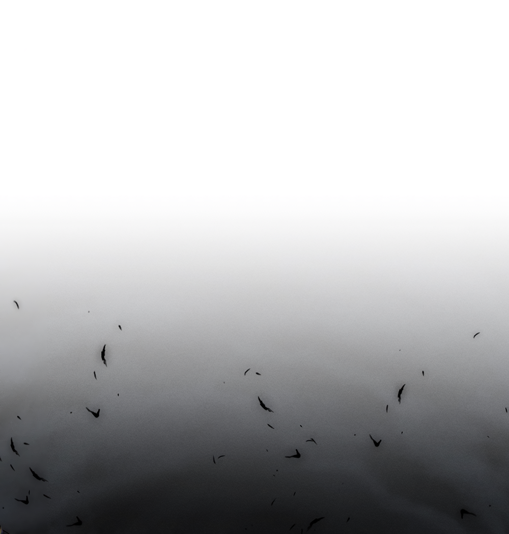 Манга Тот самый тип - Глава 34 Страница 13