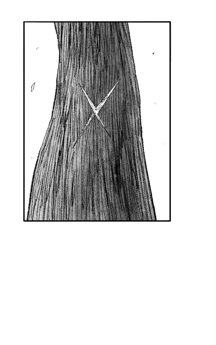 Манга Чёрная Смерть - Глава 53 Страница 69