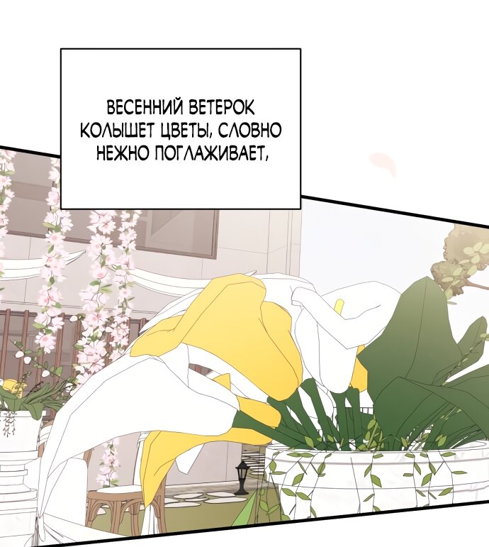 Манга Идеальный контракт - Глава 83 Страница 68