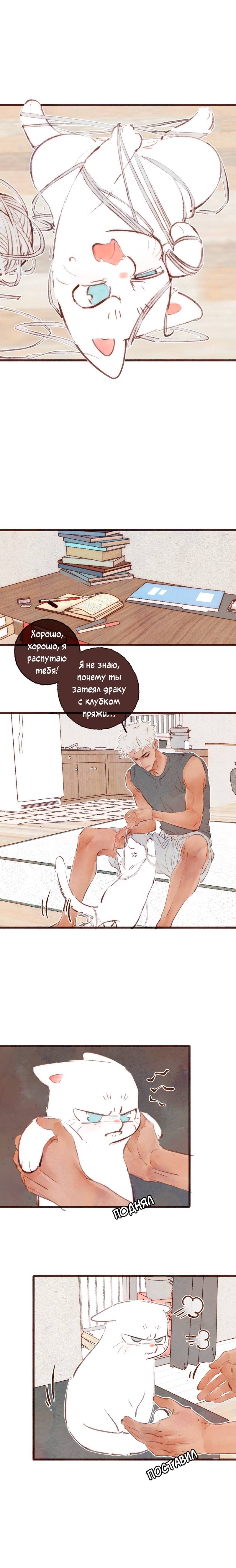 Манга Котёнок удачи - Глава 19 Страница 2