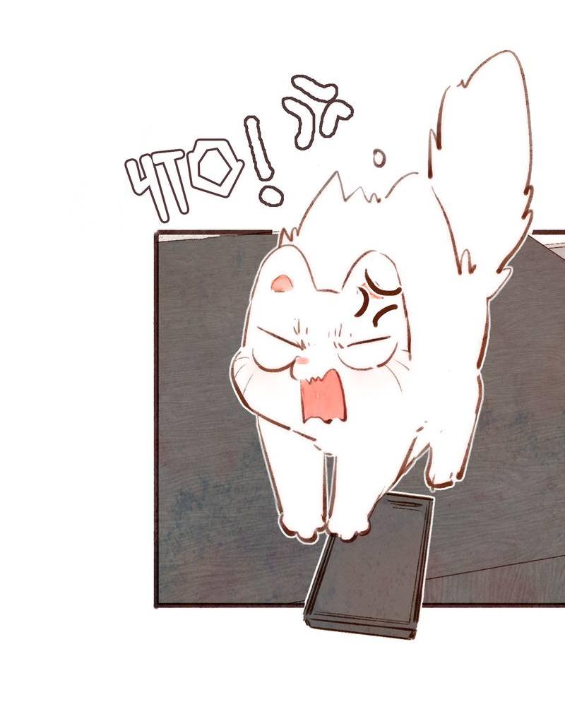 Манга Котёнок удачи - Глава 23 Страница 12