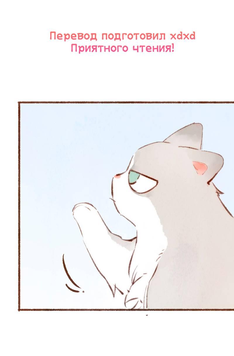 Манга Котёнок удачи - Глава 22 Страница 3