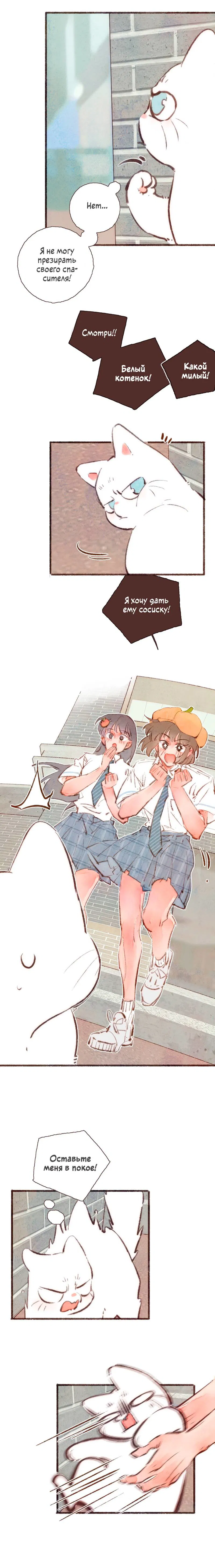 Манга Котёнок удачи - Глава 22 Страница 21