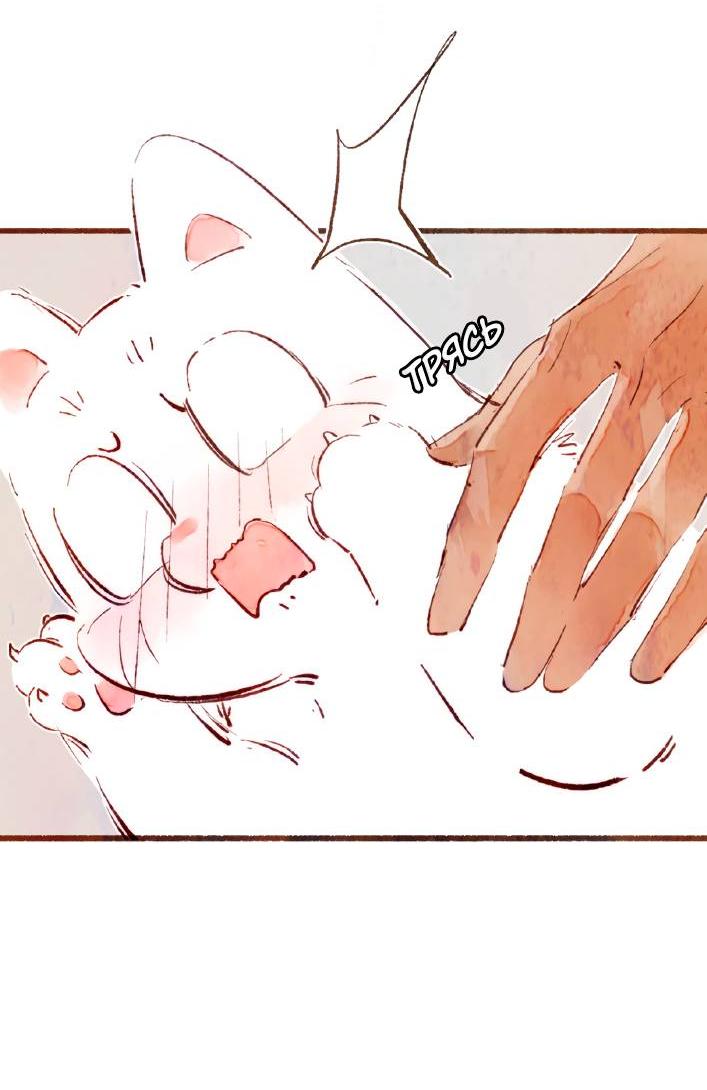 Манга Котёнок удачи - Глава 31 Страница 24