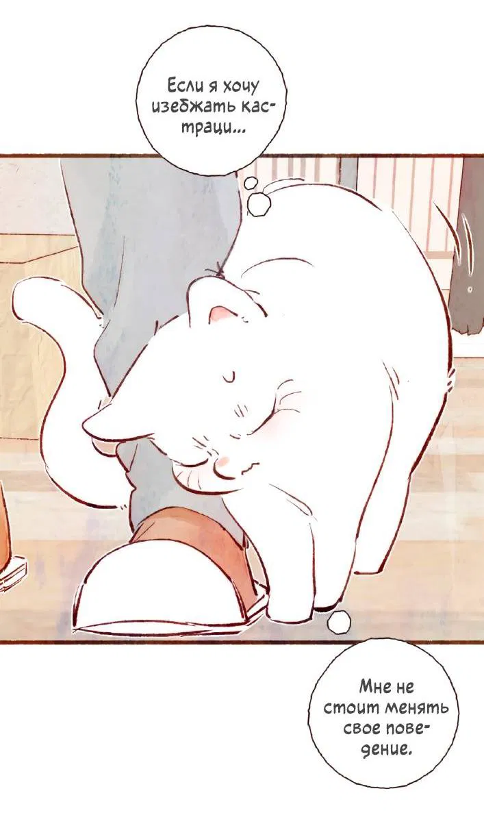 Манга Котёнок удачи - Глава 31 Страница 28