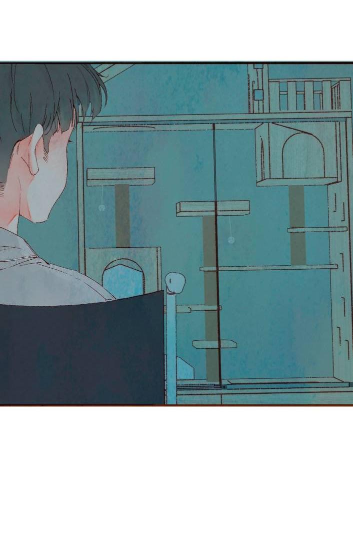 Манга Котёнок удачи - Глава 33 Страница 21