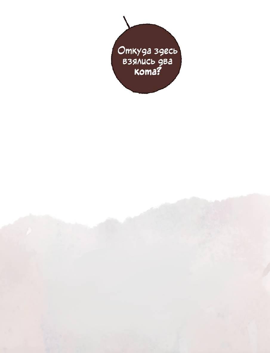 Манга Котёнок удачи - Глава 35 Страница 37