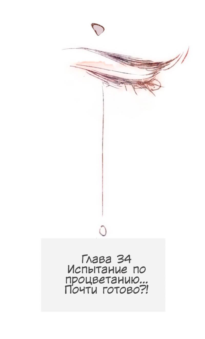 Манга Котёнок удачи - Глава 34 Страница 13