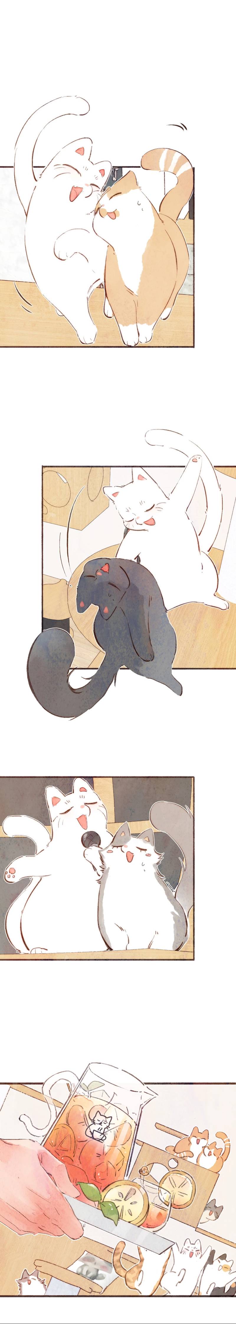 Манга Котёнок удачи - Глава 34 Страница 16