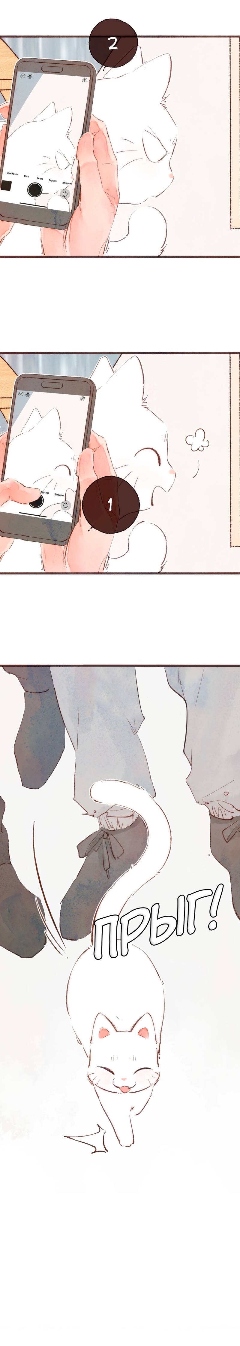 Манга Котёнок удачи - Глава 34 Страница 15