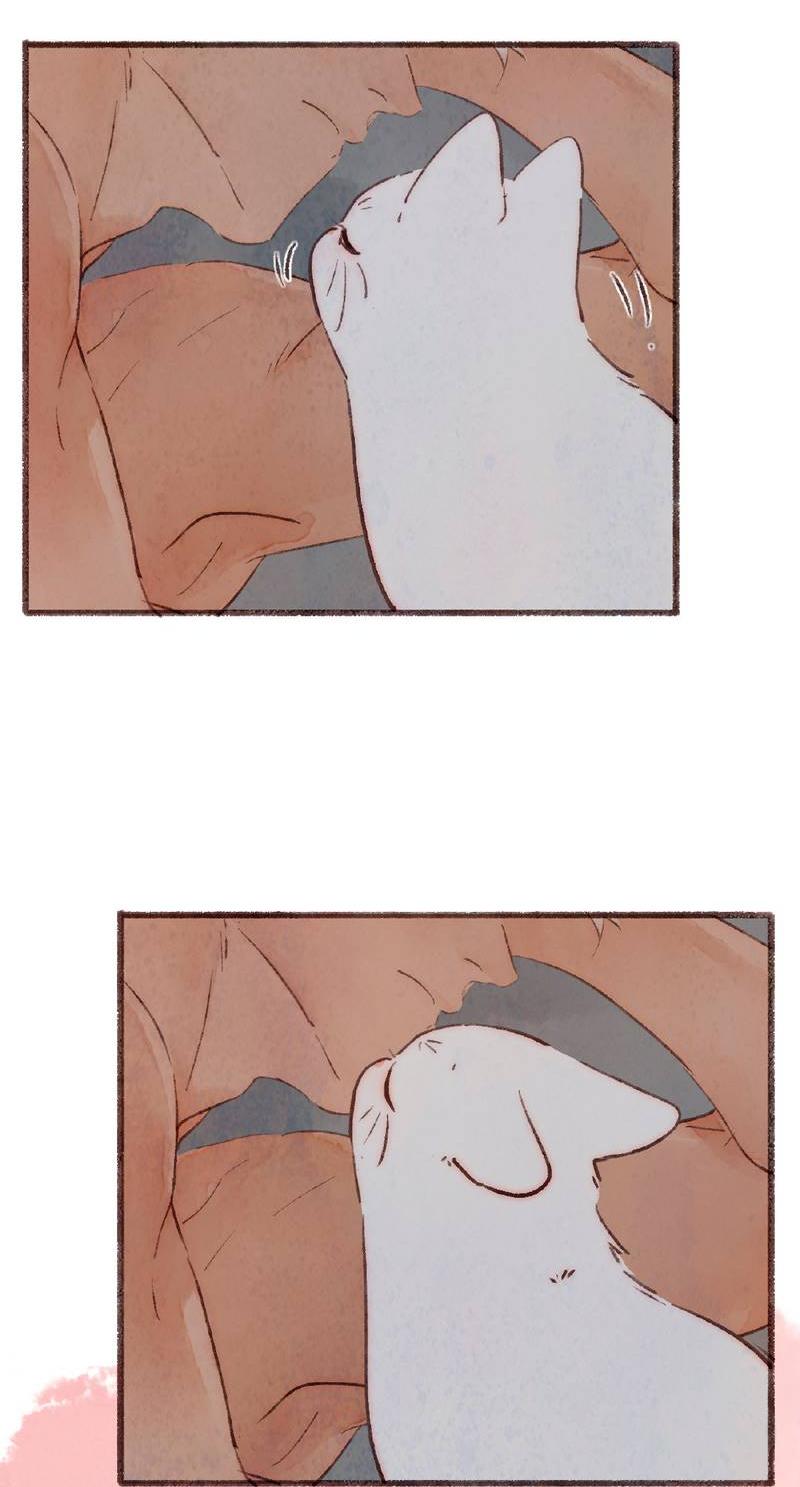 Манга Котёнок удачи - Глава 37 Страница 23