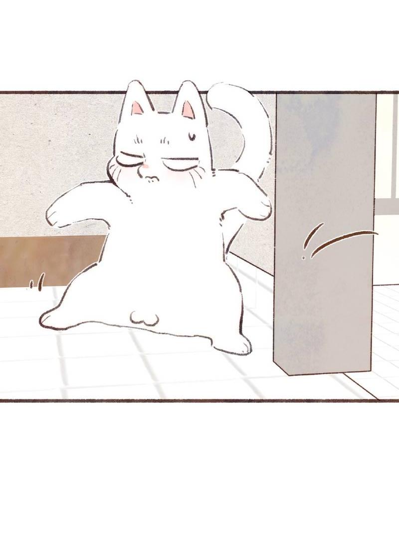 Манга Котёнок удачи - Глава 38 Страница 16