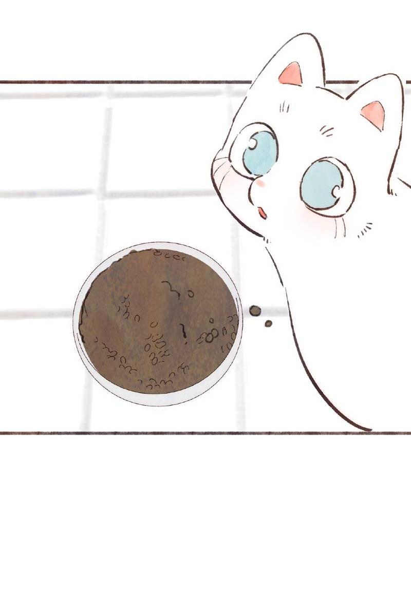 Манга Котёнок удачи - Глава 39 Страница 31