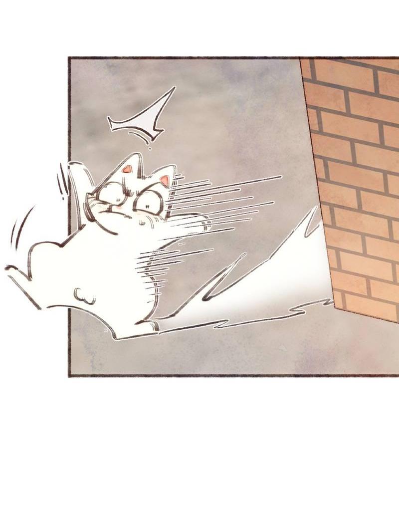 Манга Котёнок удачи - Глава 39 Страница 13